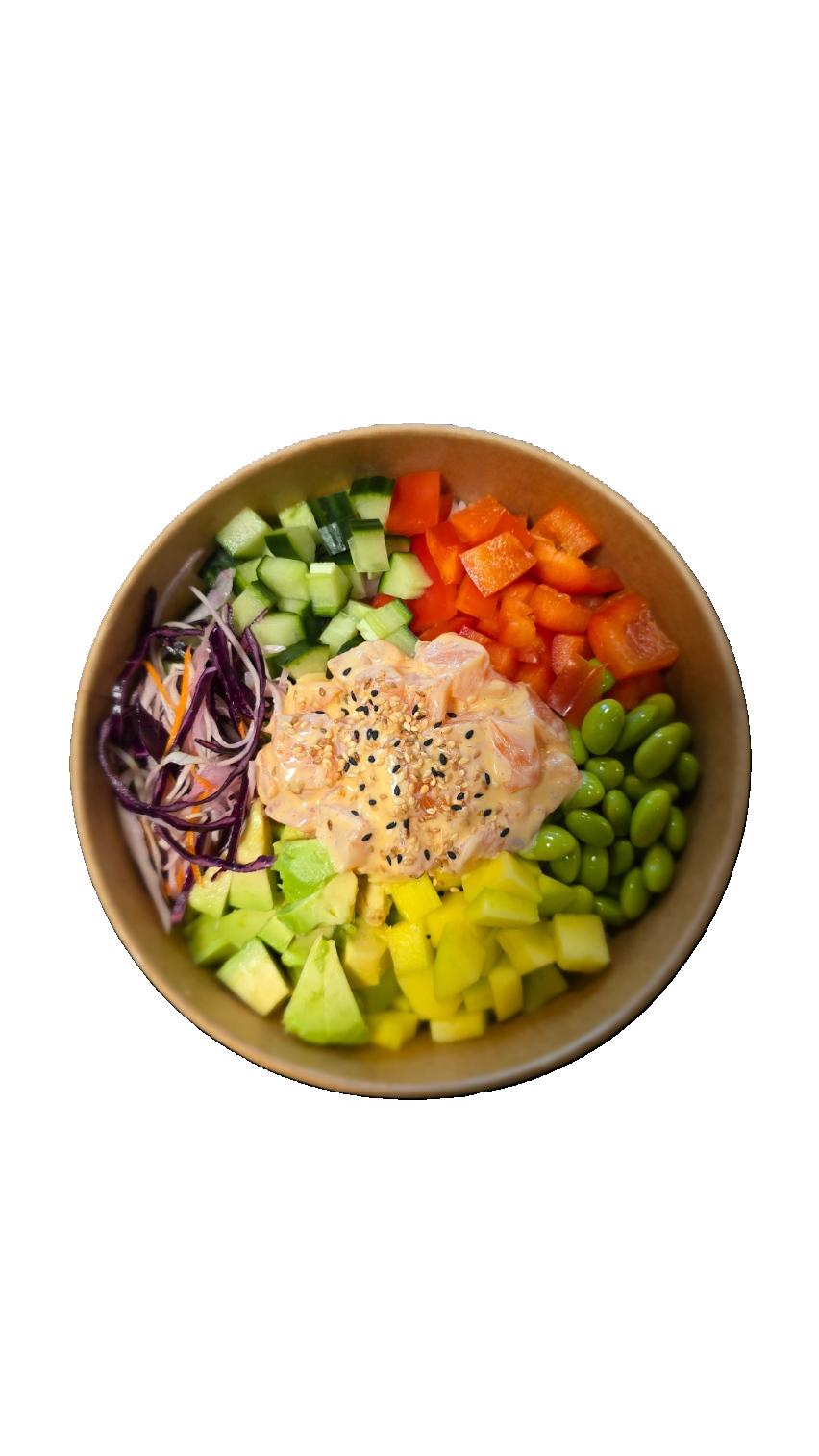 Salmon Bowl